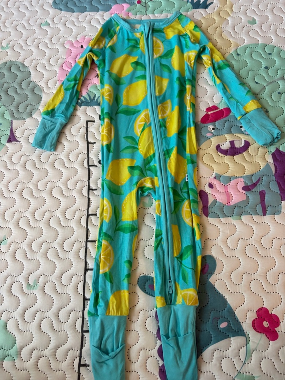 Little Sleepies Bamboo Sleeper 6-12